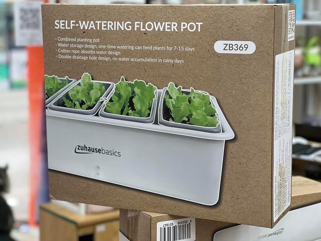 Chậu Trồng Cây Thông Minh 4 ngăn