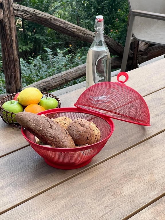 𝐁𝐎̣̂ 𝐑𝐎̂̉ 𝐇𝐎𝐀 𝐐𝐔𝐀̉ 𝐋𝐎̂̀𝐍𝐆 𝐁𝐀̀N