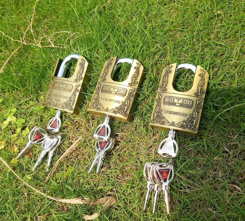 Khoá chống cắt hiệu Đức