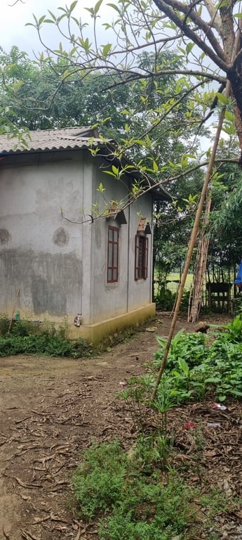 Phú Vinh, Tân Lạc, Hòa Bình. 1019m2