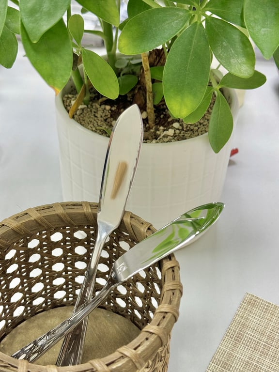 Dao phết bơ, mứt hàng xuất Đức set 2c