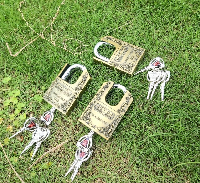 Khoá chống cắt hiệu Đức