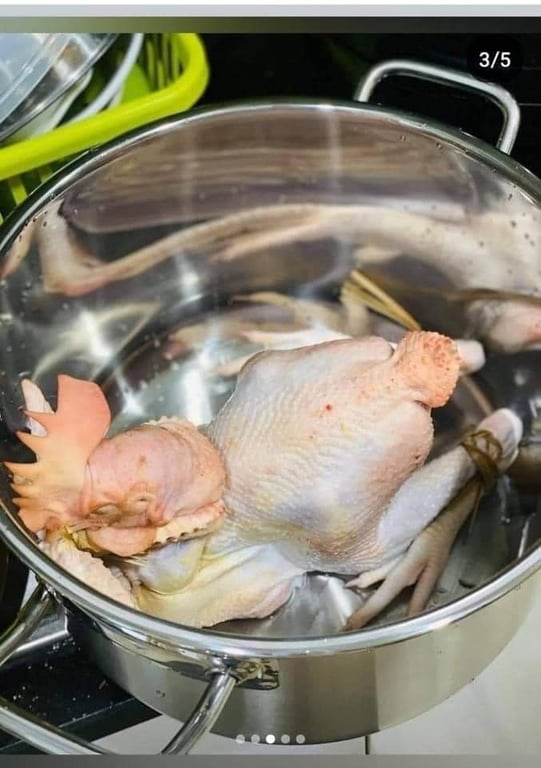 NỒI LUỘC GÀ FIVESTAR size 28-30-32-36