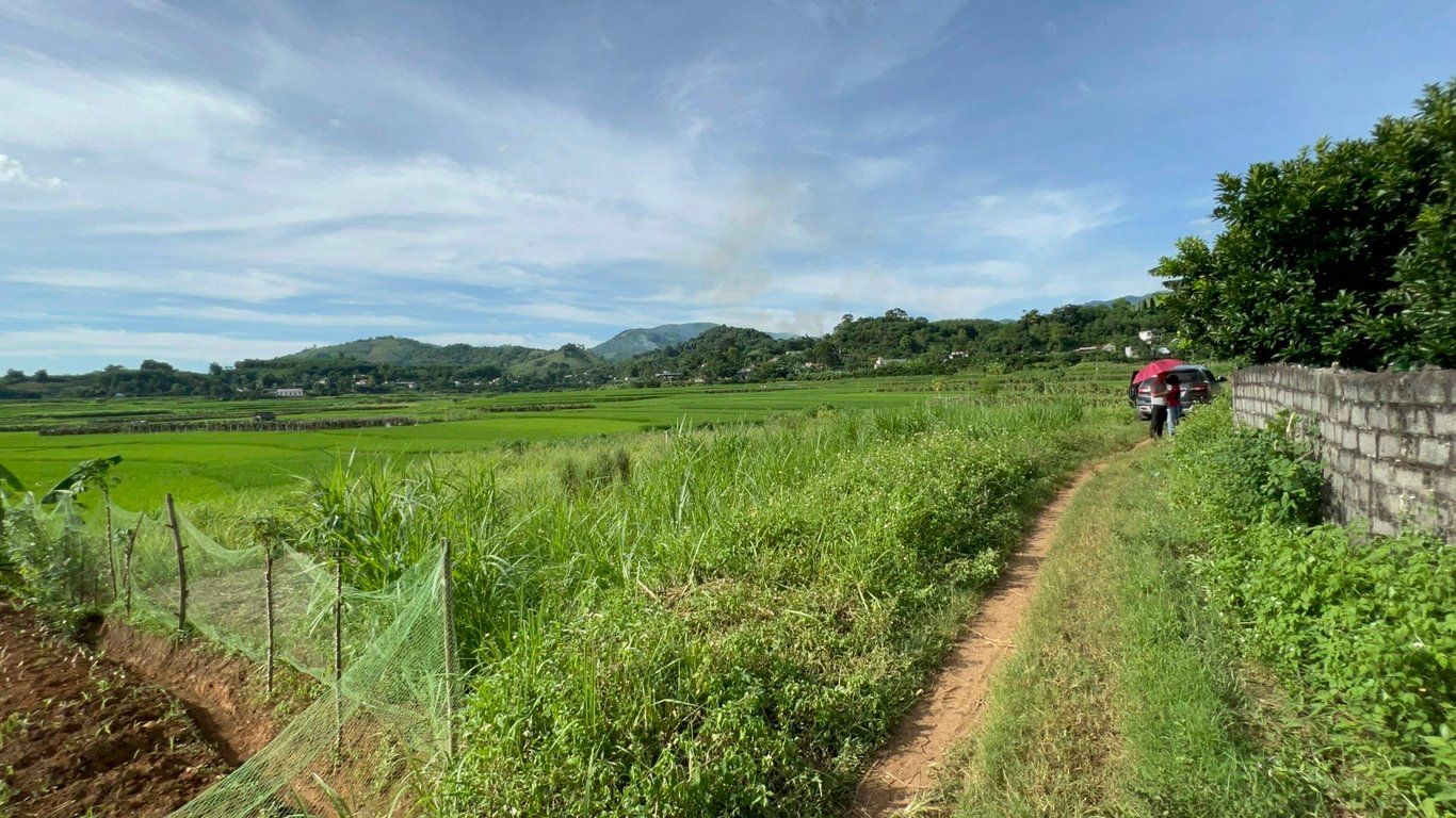 Lô đất 304m2 có 200m2 thổ cư tại Tân Lạc, Hoà Bình chỉ 299tr