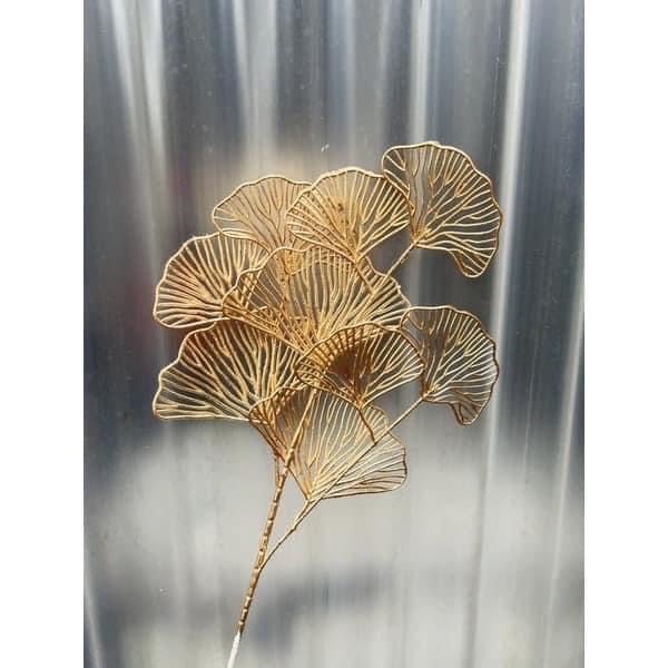 Cành táo vàng - rẻ quạt vàng