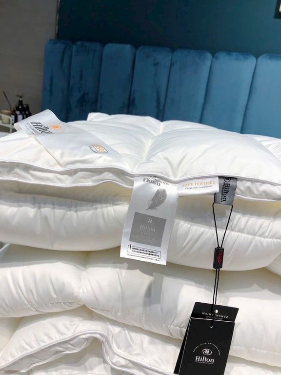 RUỘT CHĂN LÔNG VŨ HILTON NEW 2023