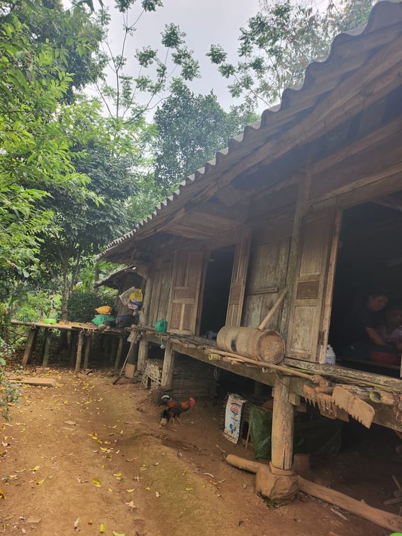 Gần 1800m2, 400m2 ONT tại Thạch Yên, Cao Phong, Hoà Bình