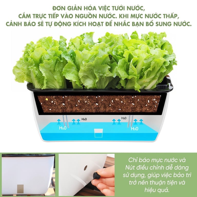 Set 3  Chậu Trồng Cây Thông Minh zuhause