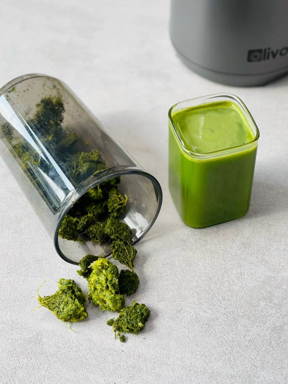 Máy ép chậm Olivo SJ240 -