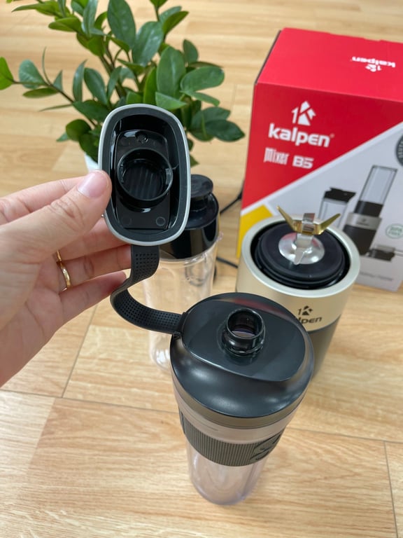 MÁY XAY SINH TỐ CAO CẤP KALPEN B6