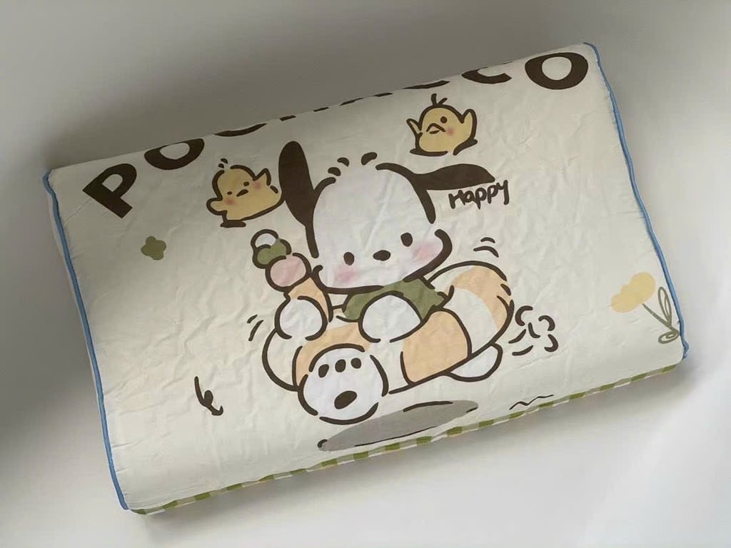 Set 2 GỐI CAO SU NON