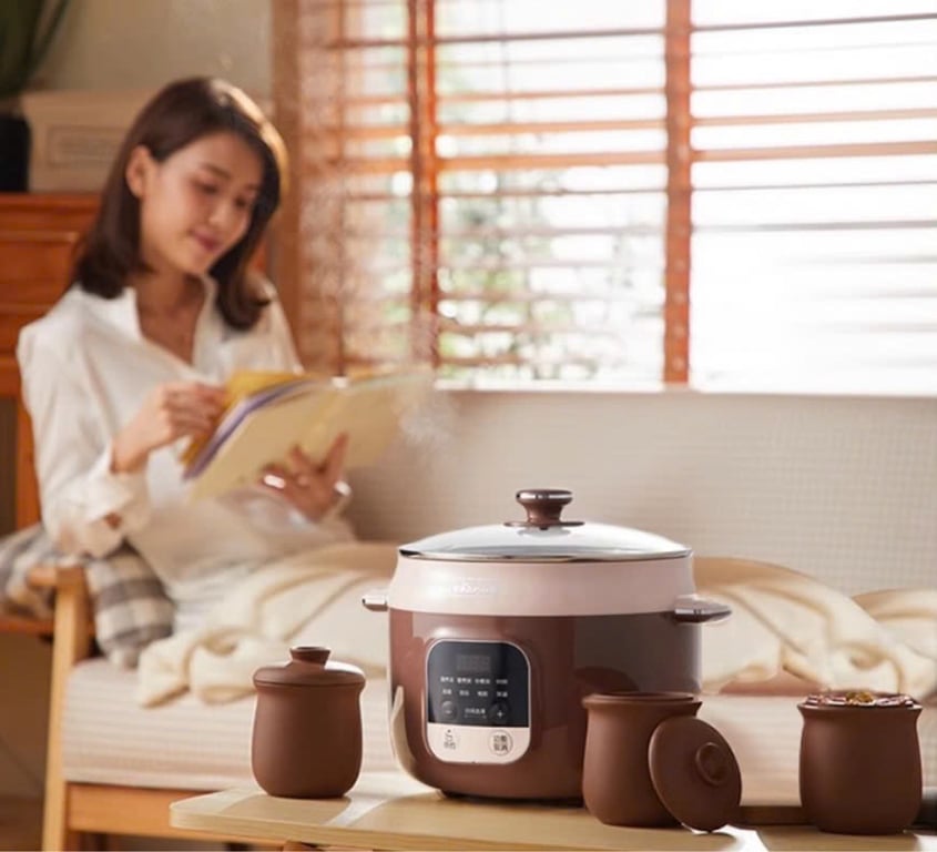 NỒI NẤU CHẬM BEAR 2.5L DDZ-C25X7 - KÈM GIÁ HẤP