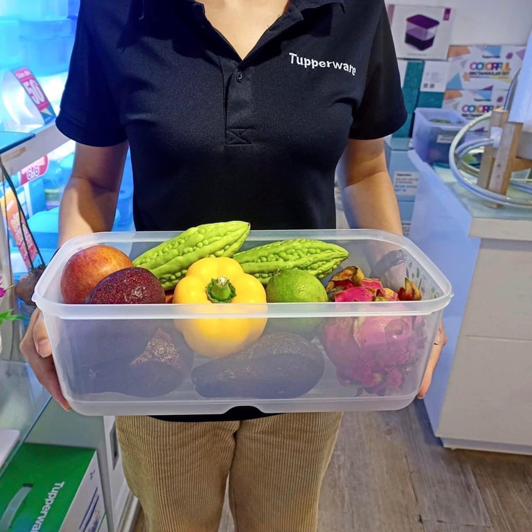 Hộp vensmart tupper 6.5L