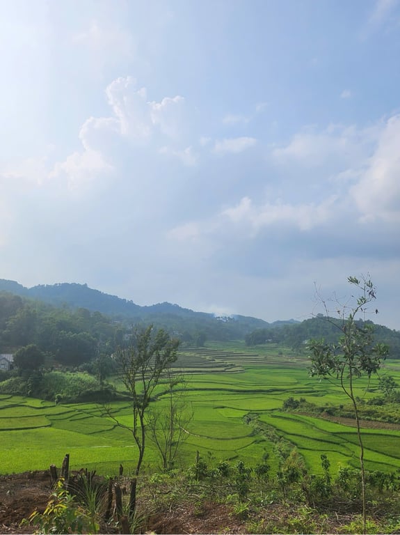 Thạch Yên, Cao Phong, HB. diện tích sử dụng khoảng 4500m2, sổ 3264m2, có 400m2 thổ cư.