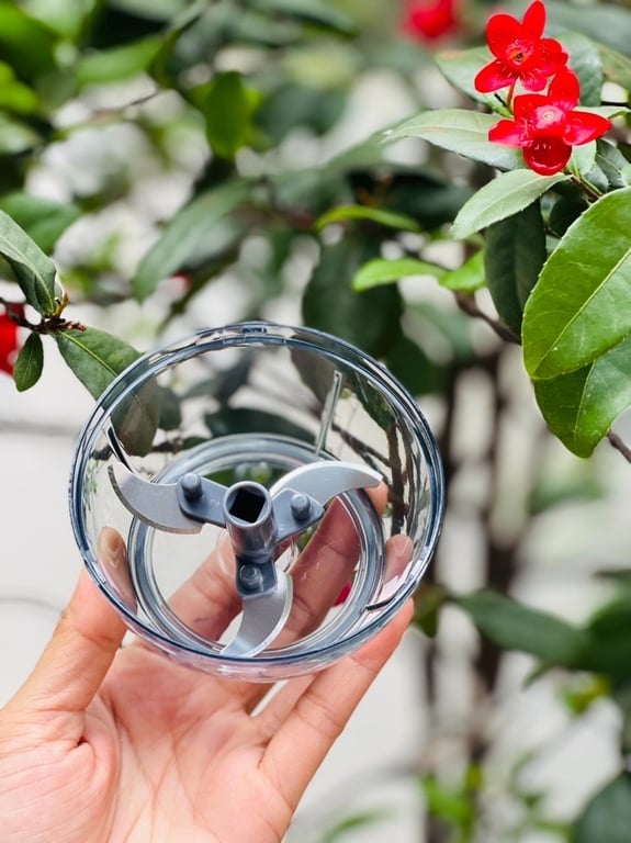 Máy xay tỏi ớt cầm tay mini  Lock&Lock