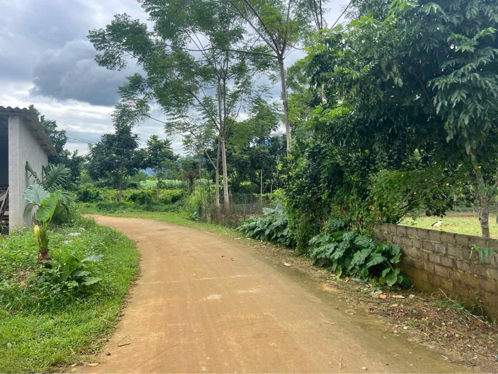 tại xã lỗ Sơn Tân Lạc hòa bình  Diện tích khoảng 400m2 có 120m2 thổ cư chỉ 2xx triệu