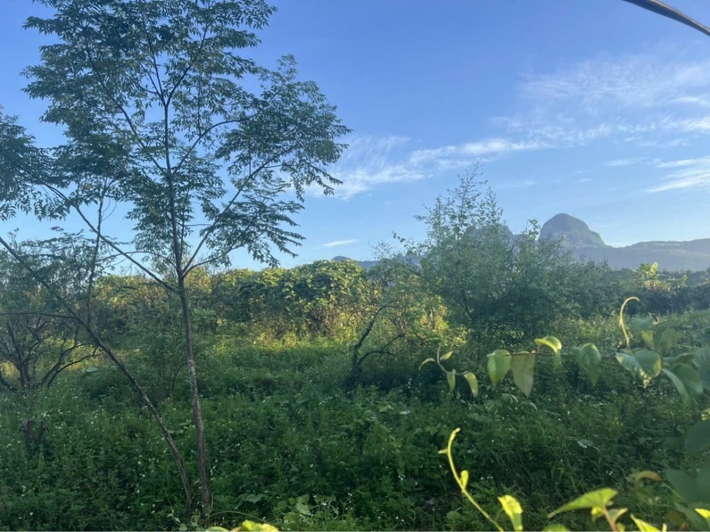 2020m2, sẵn 100m2 thổ cư tại Bắc Phong, Cao Phong, Hoà Bình