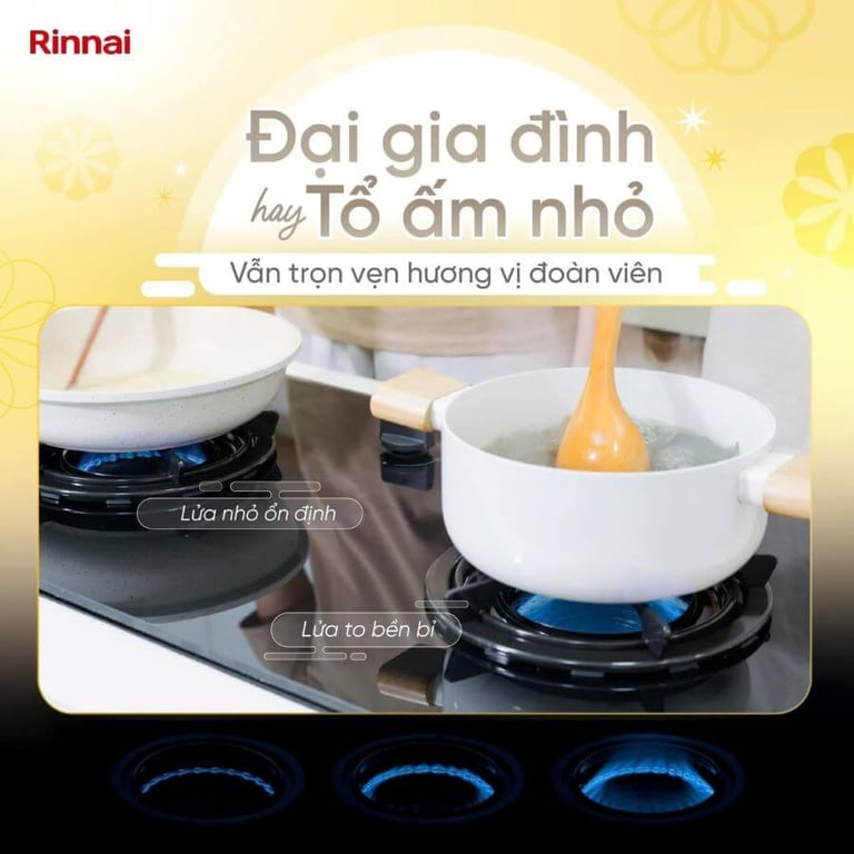 BẾP GAS ÂM RINNAI RVB-2IFE(B)