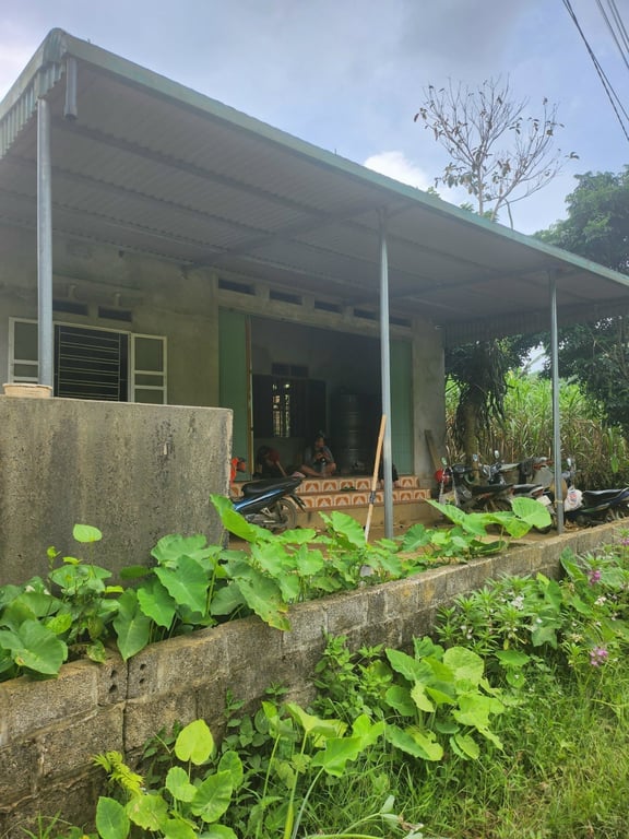 333m2 có 100m2 ONT Tại Phú Cường Tân Lạc, Hòa Bình chỉ 499tr