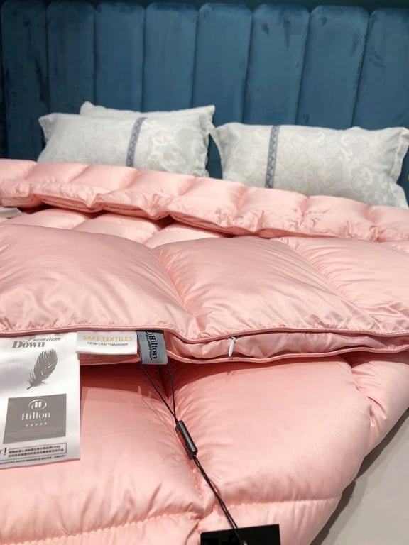 RUỘT CHĂN LÔNG VŨ HILTON NEW 2023