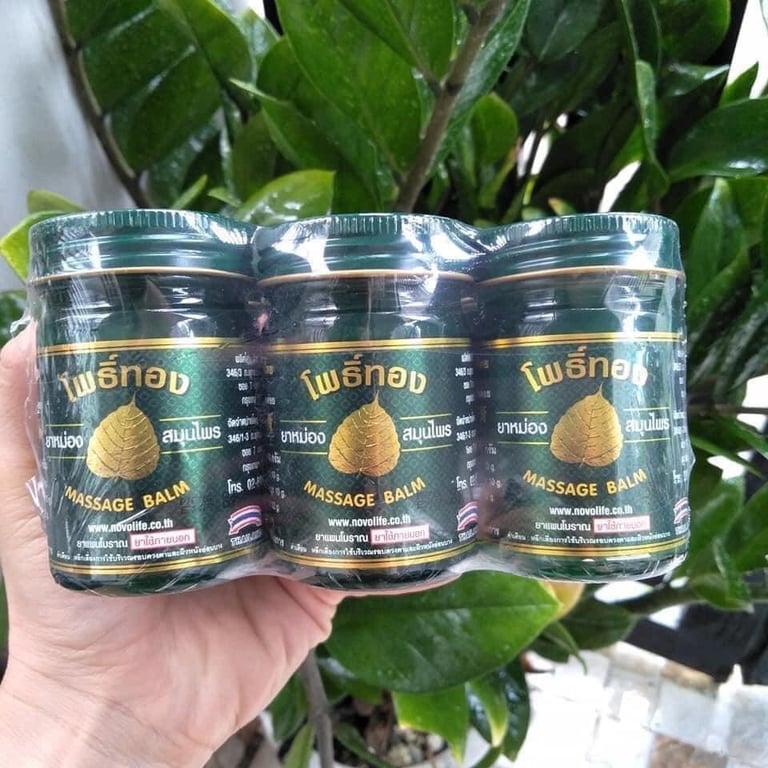 𝗗𝗔̂̀𝗨 𝗖𝗨̀ 𝗟𝗔̀ LÁ BỒ ĐỀ 𝗫𝗔𝗡𝗛