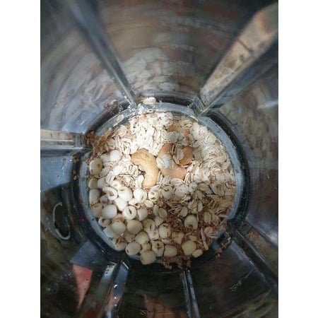 Máy làm sữa hạt Rapido model RHB1800D 1750ml