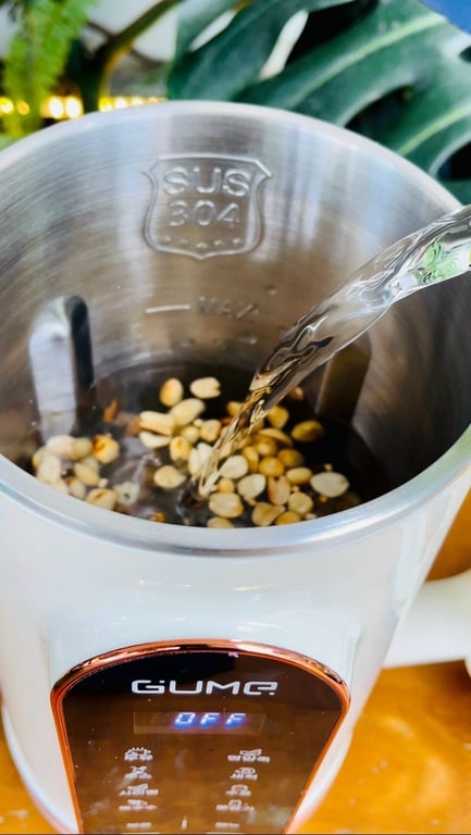 Máy làm sữa hạt Mini Pro Gume MSB-02Pro.