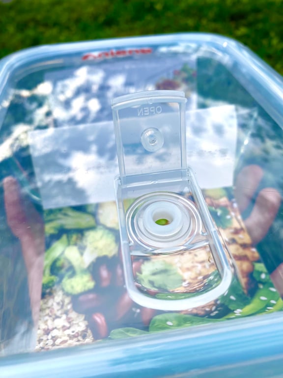 hộp thủy tinh 2 ngăn của Inochi 1500ml