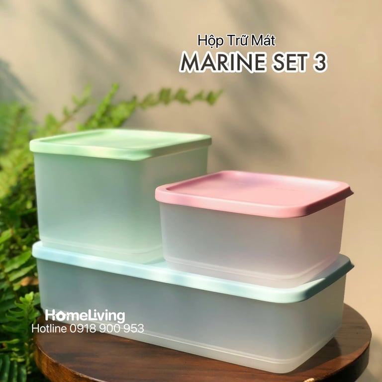 Bộ hộp trữ mát và trữ đông set 7