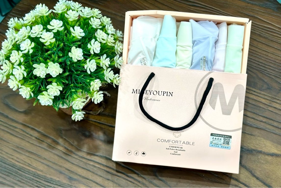 SET 6 QUẦN LÓT NỮ CAO CẤP NC113