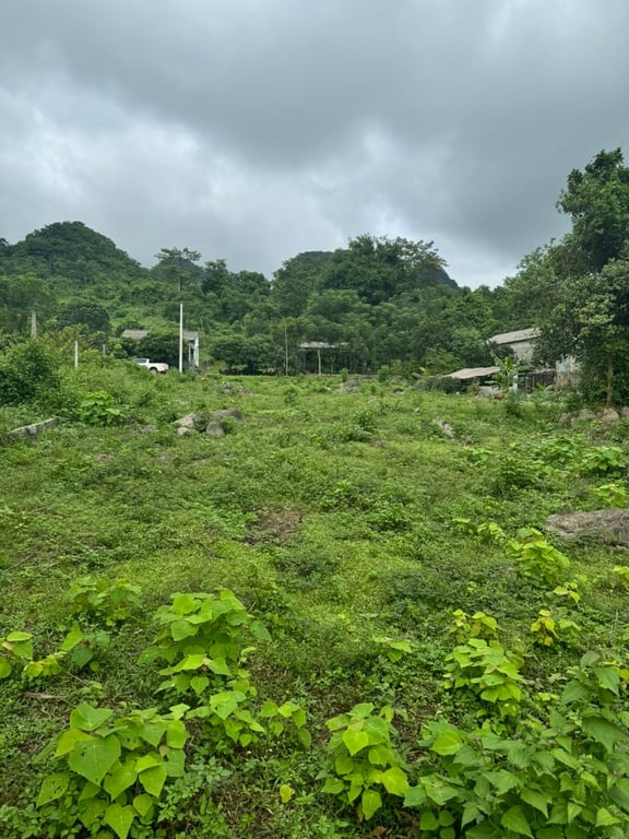 ~ 1100m2  có 60m2 ONT tại Mỹ Hoà, Tân Lạc, Hoà Bình.