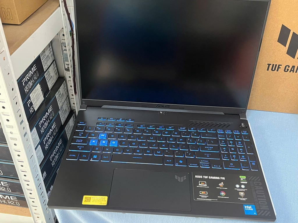 Laptop ASUS TUF Gaming F16 FX607VJB-RL151W