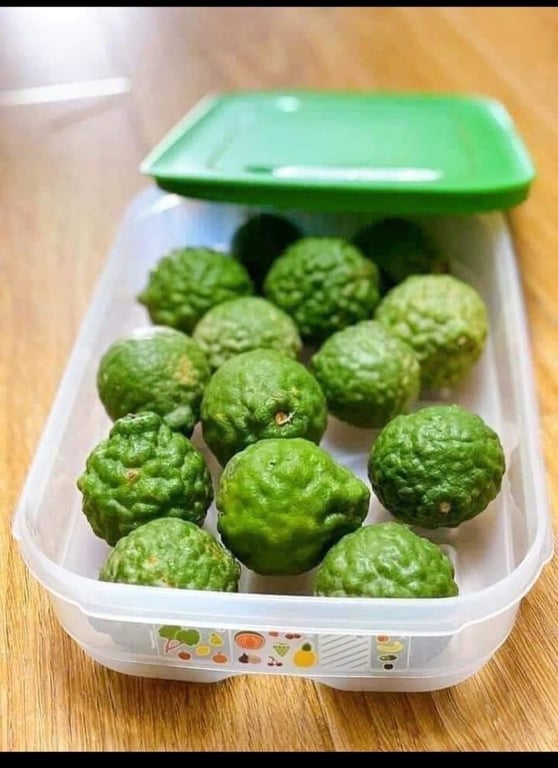 Hộp trữ mát có nút hô hấp ventsmart  1.8L thấp