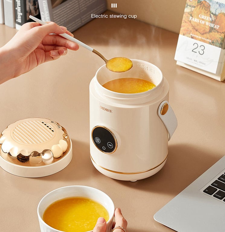 NỒI ĐIỆN ĐA NĂNG MINI OIDIRE DRB03 0.6L