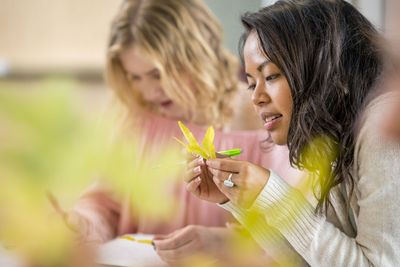 Northern Arizona University