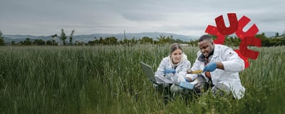 University of Calgary