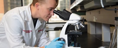 University of Louisville