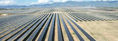 University of Prince Edward Island