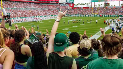 University of South Florida