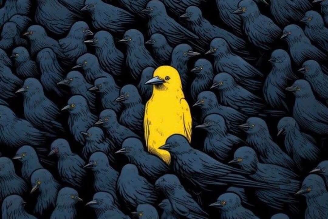 The Dark Money Cabal