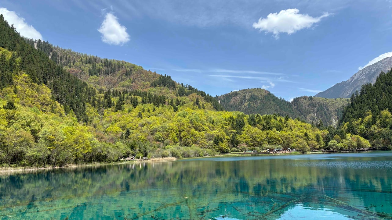 shallery Farcaster social identity (Fname handle) PFP