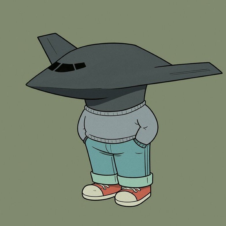 chill northrop B-2 spirit guy