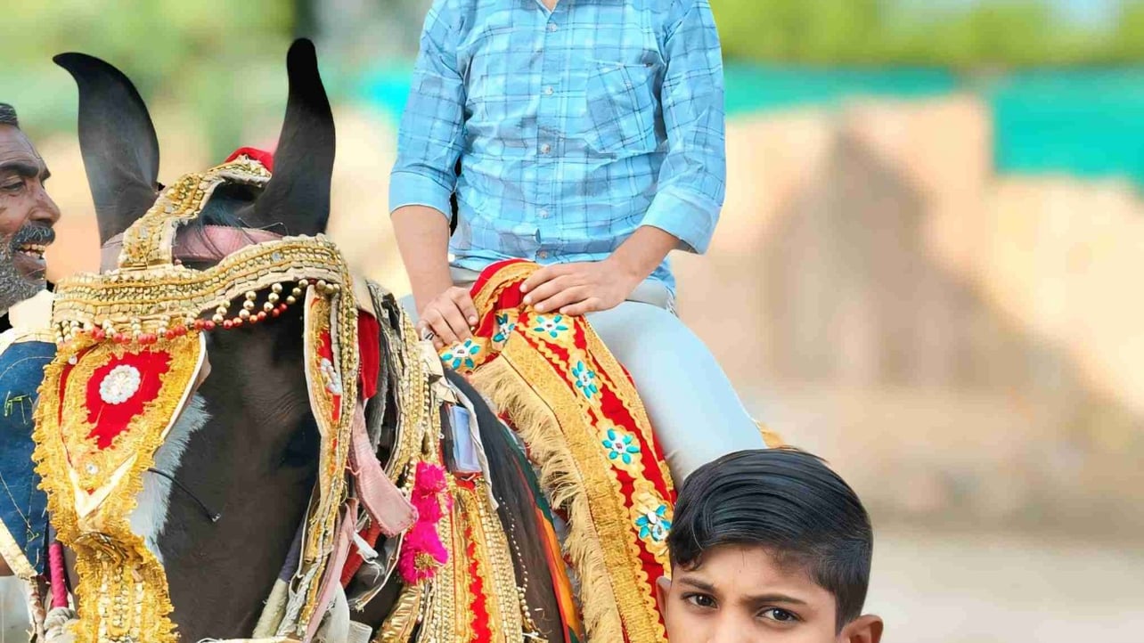 salim (salim310.lens) Lens social identity (.lens handle) PFP