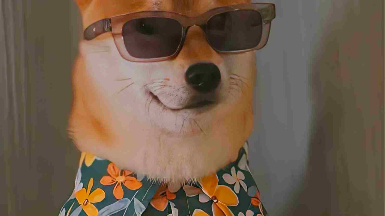 FDBTSE (fdbtse) Farcaster social identity (Fname handle) PFP