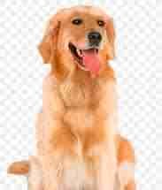 leoyannys Farcaster social identity (Fname handle) PFP