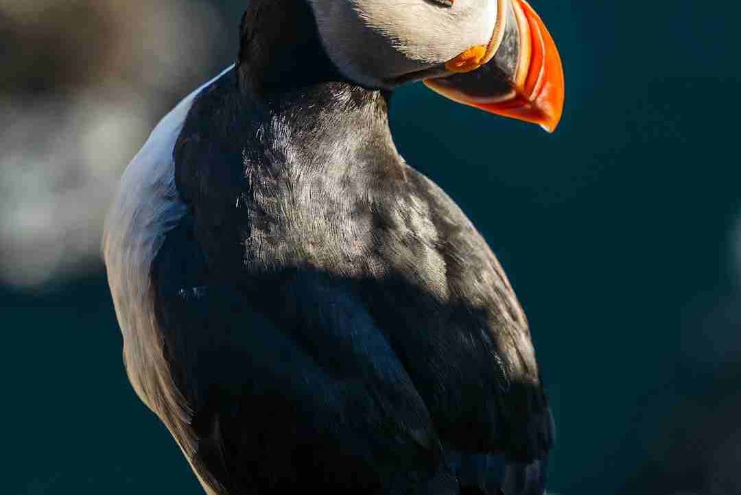 Carpe Diem (killianguerrero) Farcaster social identity (Fname handle) PFP