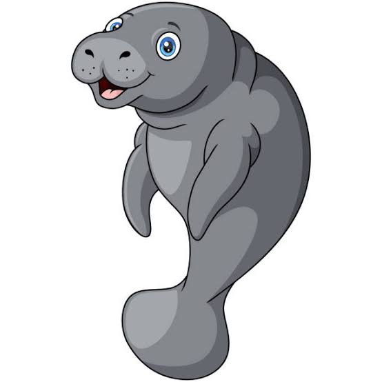 dugong