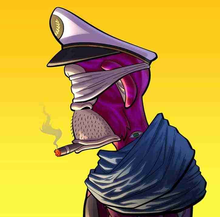 StazSeeker pfp