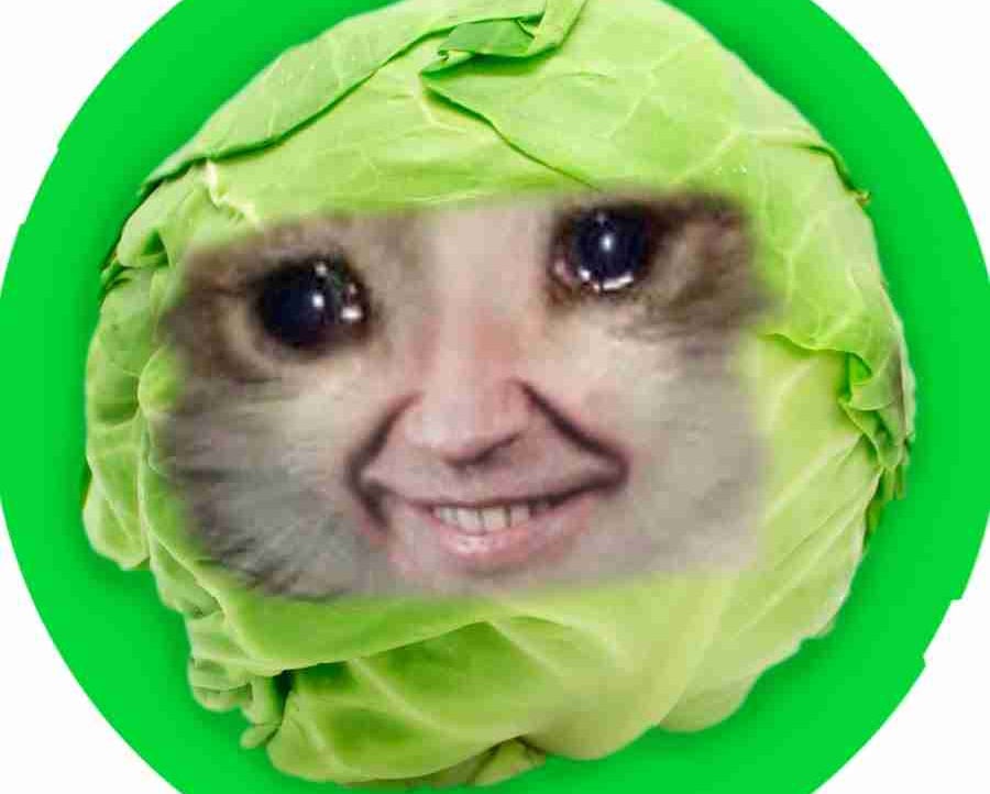Lephruit pfp