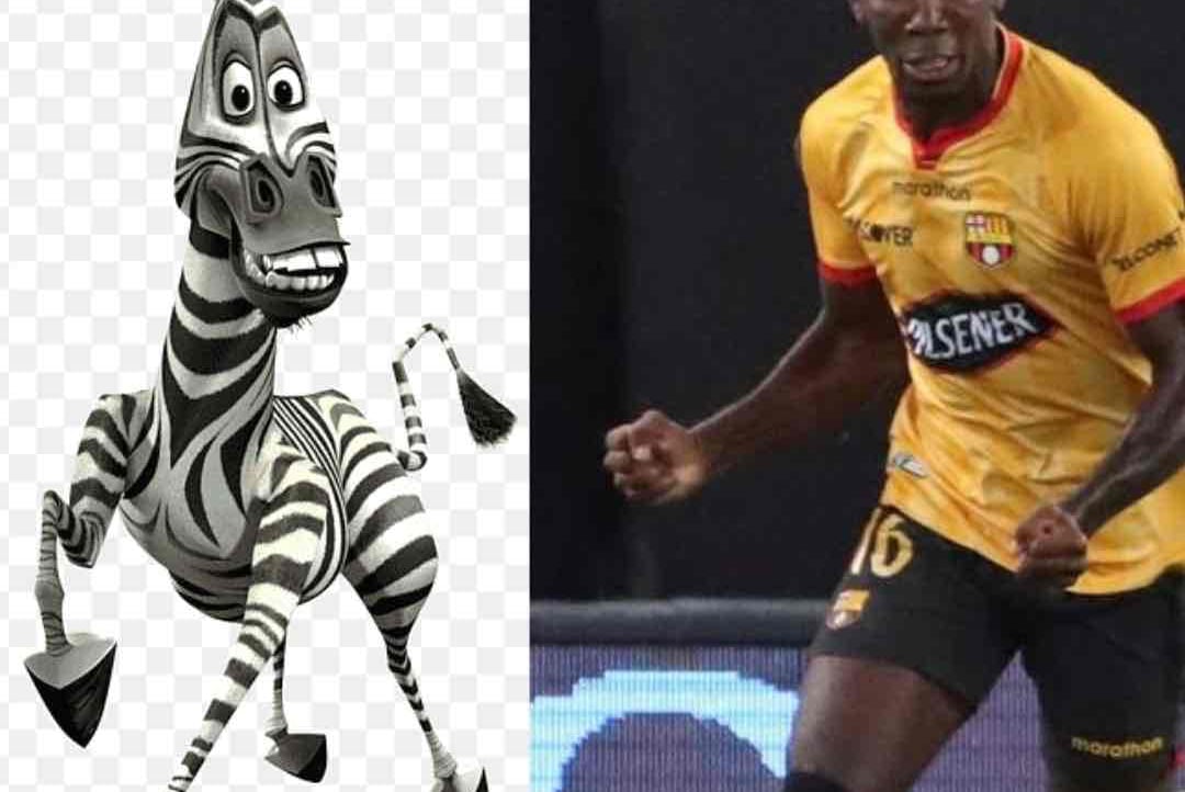 Peque (peque.lens) Lens social identity (.lens handle) PFP